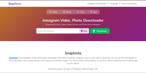 SnapInsta Downloader Solusi Praktis untuk Konten IG
